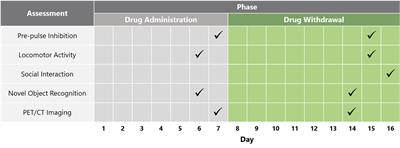 The Dopamine Allosteric Agent, PAOPA, Demonstrates Therapeutic Potential in the Phencyclidine NMDA Pre-clinical Rat Model of Schizophrenia
